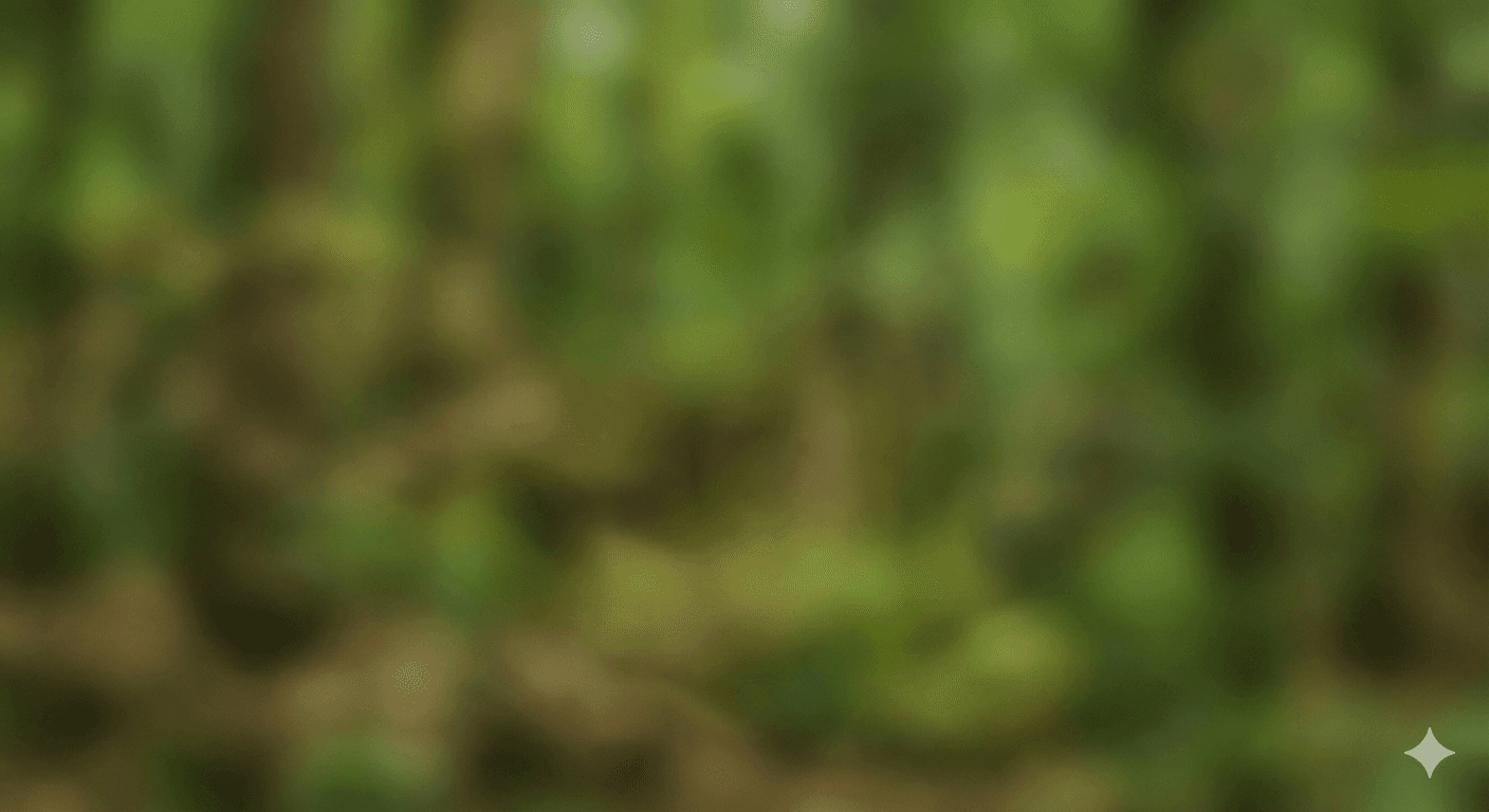 HIPAA & Translation: The 'BAA or Bust' Myth vs Real Data Safety